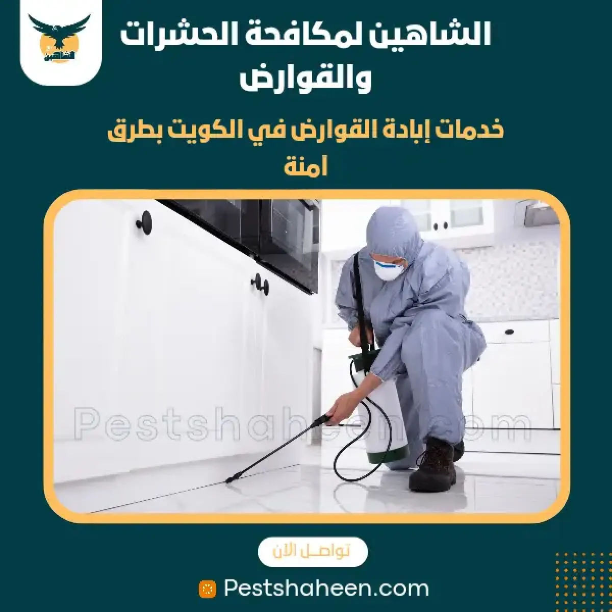 صورة من أعمالنا رقم 68